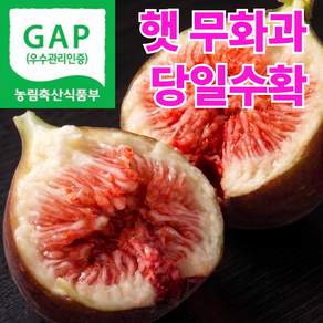 [당일수확] 영암 무화과 꿀무화과 농장직송