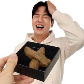 깔끔더하기 가짜 똥 쓸데없는 재미있는 킹받는 선물