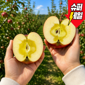 [산지직송] 고당도 홍로사과 아삭달큰 제철 햇사과