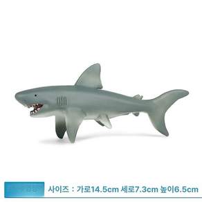 모형 화석 희귀 피규어 제품 고대 수집 물고기 동물 희귀동물 해양생물 수집품 실러캔스