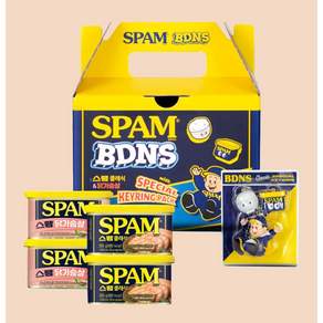 스팸 BDNS 클래식 200g x 2p + 닭가슴살 200g x 2p + 키링 세트