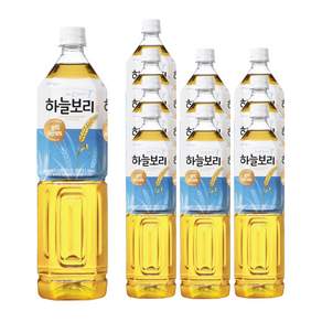 웅진 하늘보리