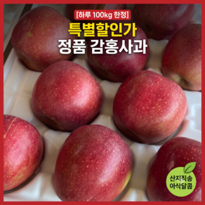 [하루100kg한정] 특별 할인가 정품 감홍사과