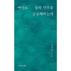 바다도 숲의 안부를 궁금해하는데:강제윤 시집