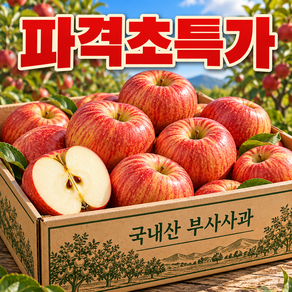 [SNS대란주문폭주중] 하루한정100박스초특가 꿀Brix 국내산 부사사과