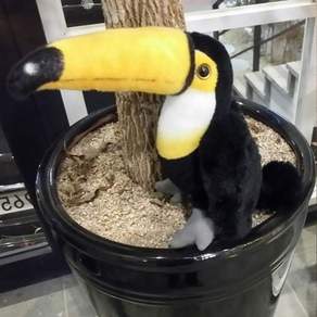 진짜같은리얼펫 투칸인형 28cm jjj132aN