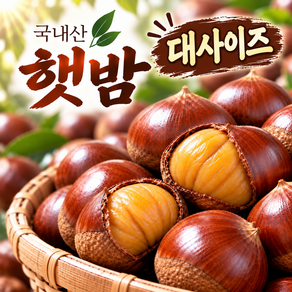 [2026 햇밤] 100% 국산 밤 국내산 알밤
