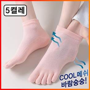 프로암스 자체제작 발편한 건강 메쉬 망사 발가락양말 단목 무봉제 여성용