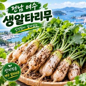 [여수농장직송] 국내산 알타리 총각무 특가판매