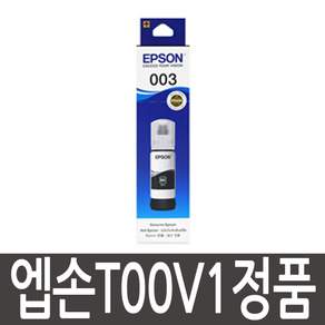 엡손 잉크 T00V100