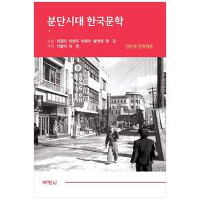 분단시대 한국문학