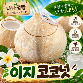 산지직송 원터치 이지 코코넛