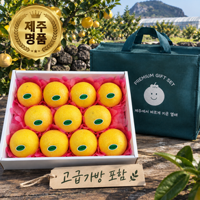 [이든팜] 고당도 제주명품 황금향 선물세트