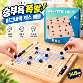 하이하 승부본능 마그네틱 체스 자석 배틀