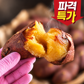 [50박스초특가] 산지출고 못난이 해남 고구마
