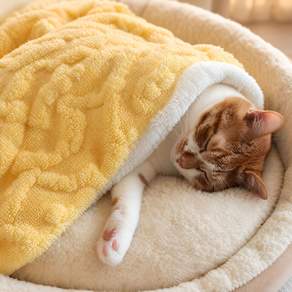 보드미펫 강아지 고양이 이불 담요