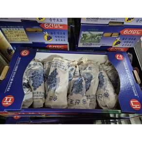 송산포도 3kg 한상자 특가행사