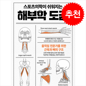 스포츠의학이 쉬워지는 해부학 도감