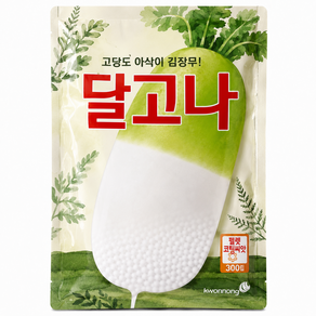 달고나 김장무 씨앗 고당도 무종자 김장무씨앗 텃밭 주말농장 300립 권농