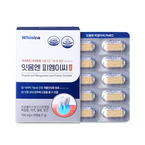 화이니카 잇몸엔 피엠이씨 PMEC
