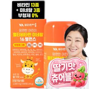 비타민마을 맘편한 어린이 멀티비타민 미네랄 16밸런스 135g