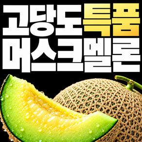 고당도 멜론 1위 국내산 머스크 메론구매 특품