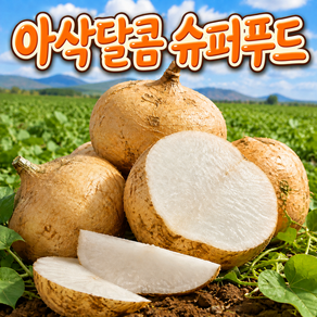 [특품] 슈퍼푸드 멕시코 히카마 감자