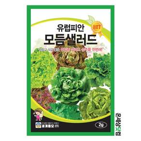 (단종)마마픽스 세계모듬채소 씨앗