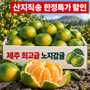 [제주산지직송] 첫출하 최대20brix 로얄 제주노지감귤
