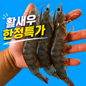 [산지직송] 국내산 흰다리새우