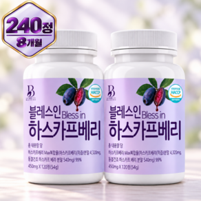 블레스인-Blees In 동결건조 하스카프베리 C3G