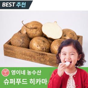 [한정특가] 베트남 히카마 멕시코감자 최상품