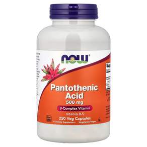 나우푸드 판토텐산 500mg