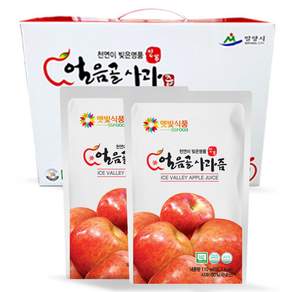 햇빛식품 밀양 얼음골 사과즙