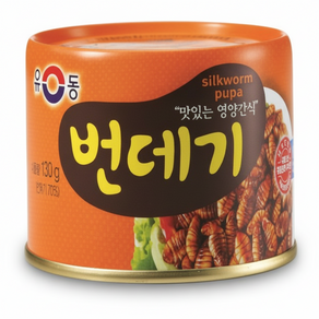 유동 번데기