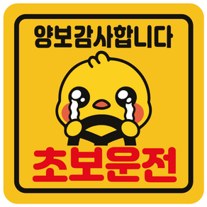 초보운전스티커 초보운전 자석스티커 아이 임산부 배려 양보 감사 자동차스티커 정사각중 동생병아리