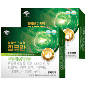 동화약품 혈행엔 기억력 징큐란 은행잎 추출물 징코 11종기능성