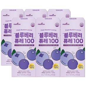 메디트리 미국산 블루베리 주스 퓨레 100%