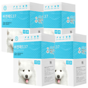 바겐패드 37 강아지 배변패드 고급형 50매