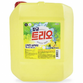애경 향균 트리오 12kg - 일반주방세제