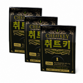 취트키 프리미엄 숙취해소제 글루타치온 홍삼 휴대용 여행 해외여행 약국판매
