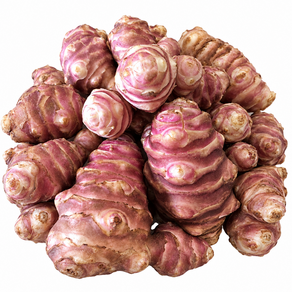 청원농산 생돼지감자 자색돼지감자(뚱딴지) 5kg 10kg