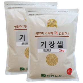 대한농산 기장 4kg (2kgx2봉) 수입 기장쌀