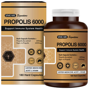 시니케어 호주 고함량 프로폴리스 6000mg