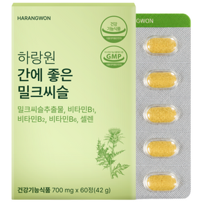 하랑원 간에 좋은 밀크시슬