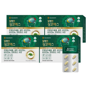 대웅생명과학 혈행엔 징코맥스