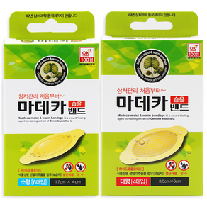동국제약 마데카습윤밴드 대형 4매입X1개 + 소형 6매입X1개
