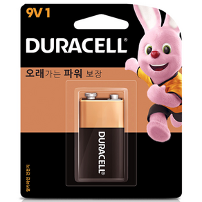 듀라셀 알카라인 건전지 9V