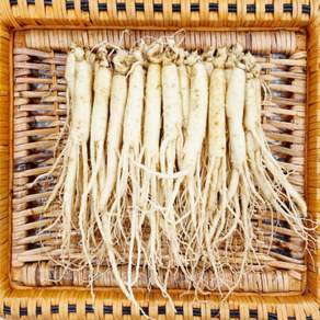 [실속형] 풍기인삼 업소용 삼계탕용 백숙용 세척인삼 300g/ 500g/ 1kg (50~60뿌리) 삼영인삼사