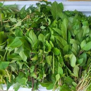 혼합 채소 500g/아시아 농장 송소희